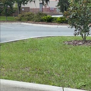 Meet your Posher, Nathan